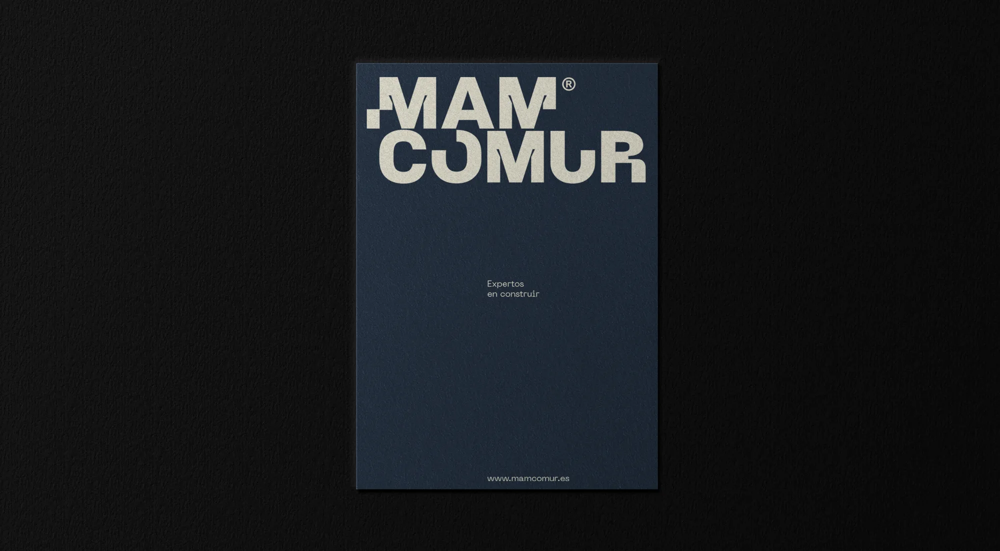 Mamcomur — imagen 6 del proyecto