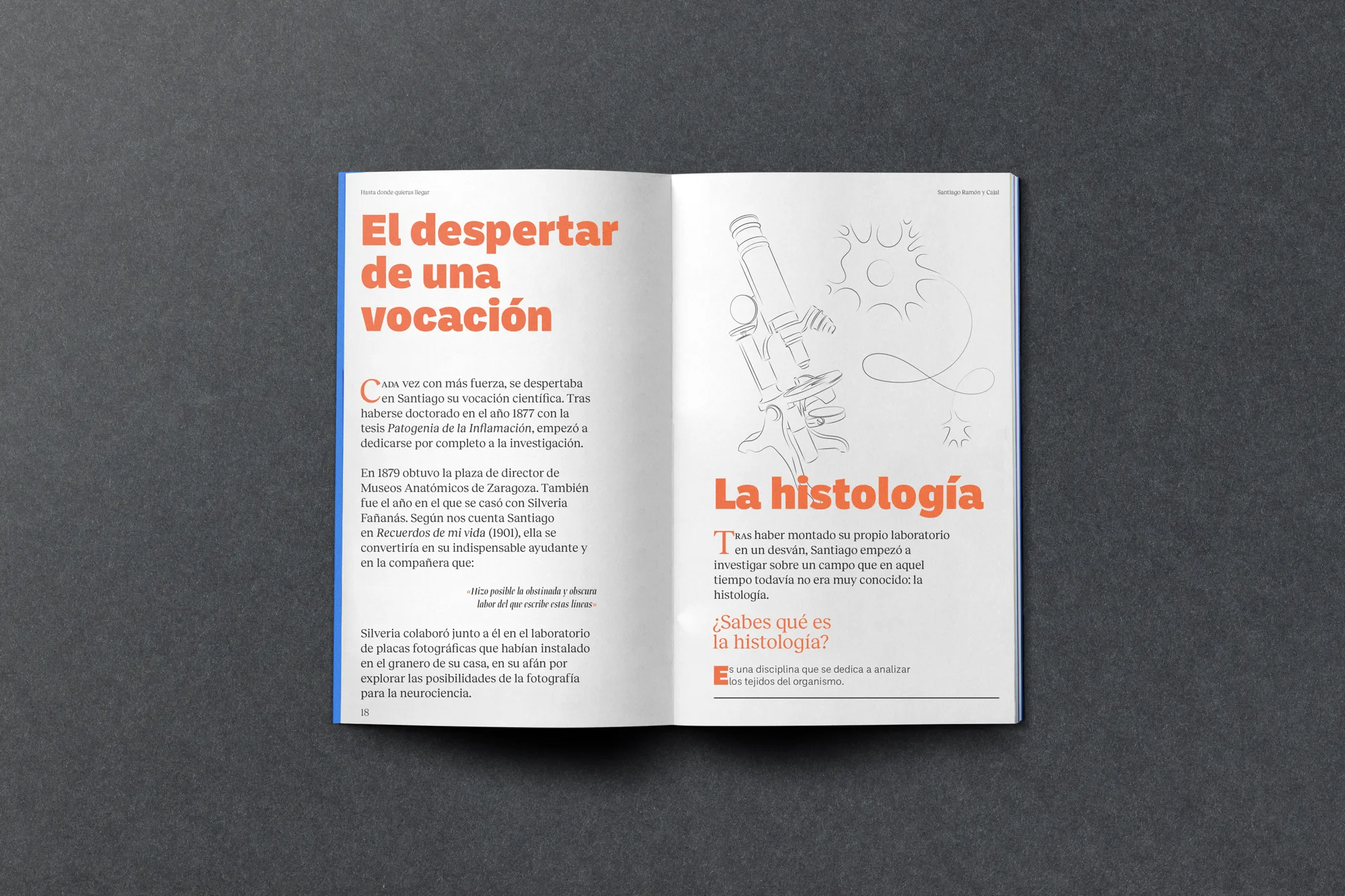 Ramón y Cajal — imagen 5 del proyecto