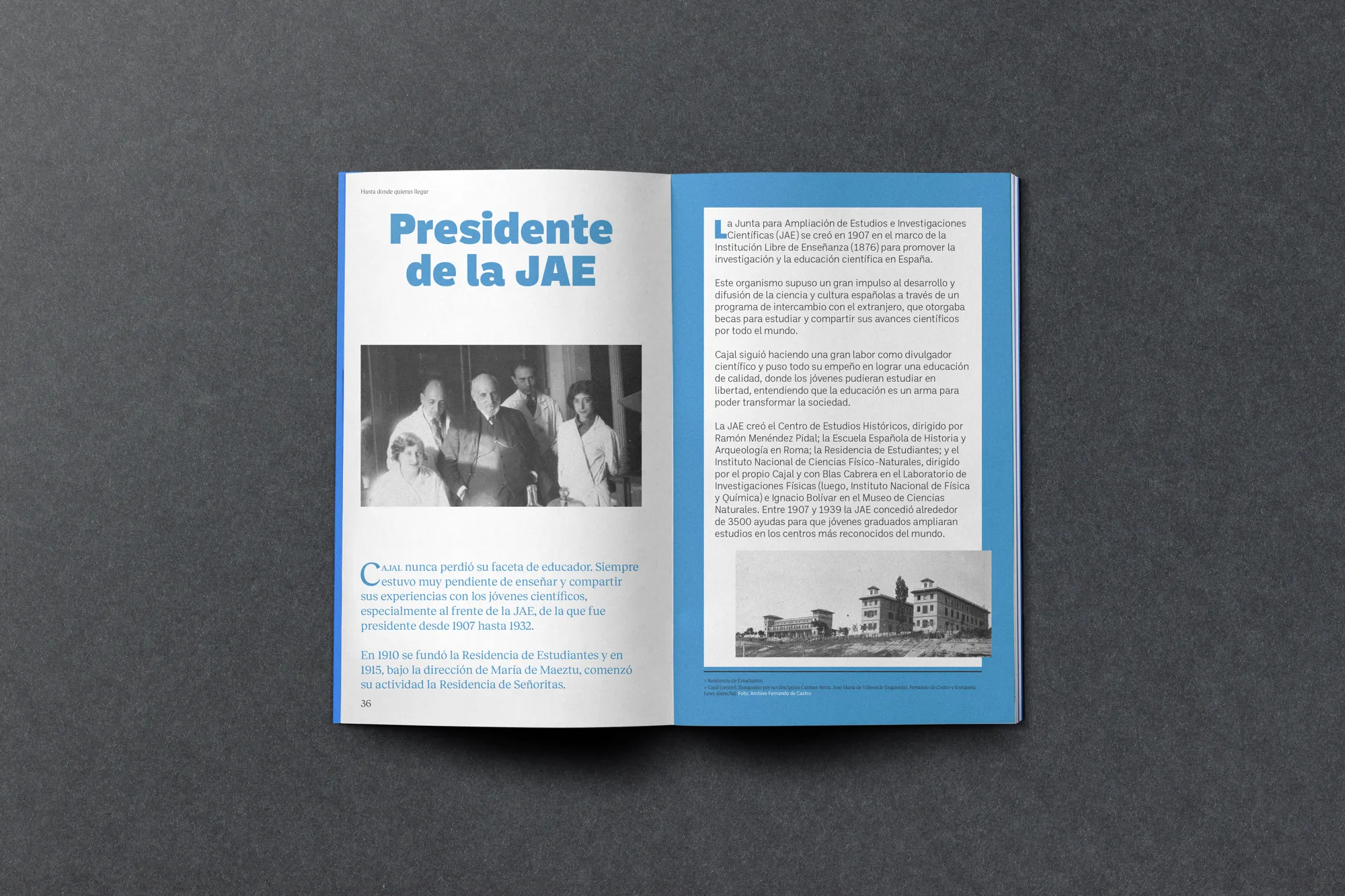 Ramón y Cajal — imagen 7 del proyecto