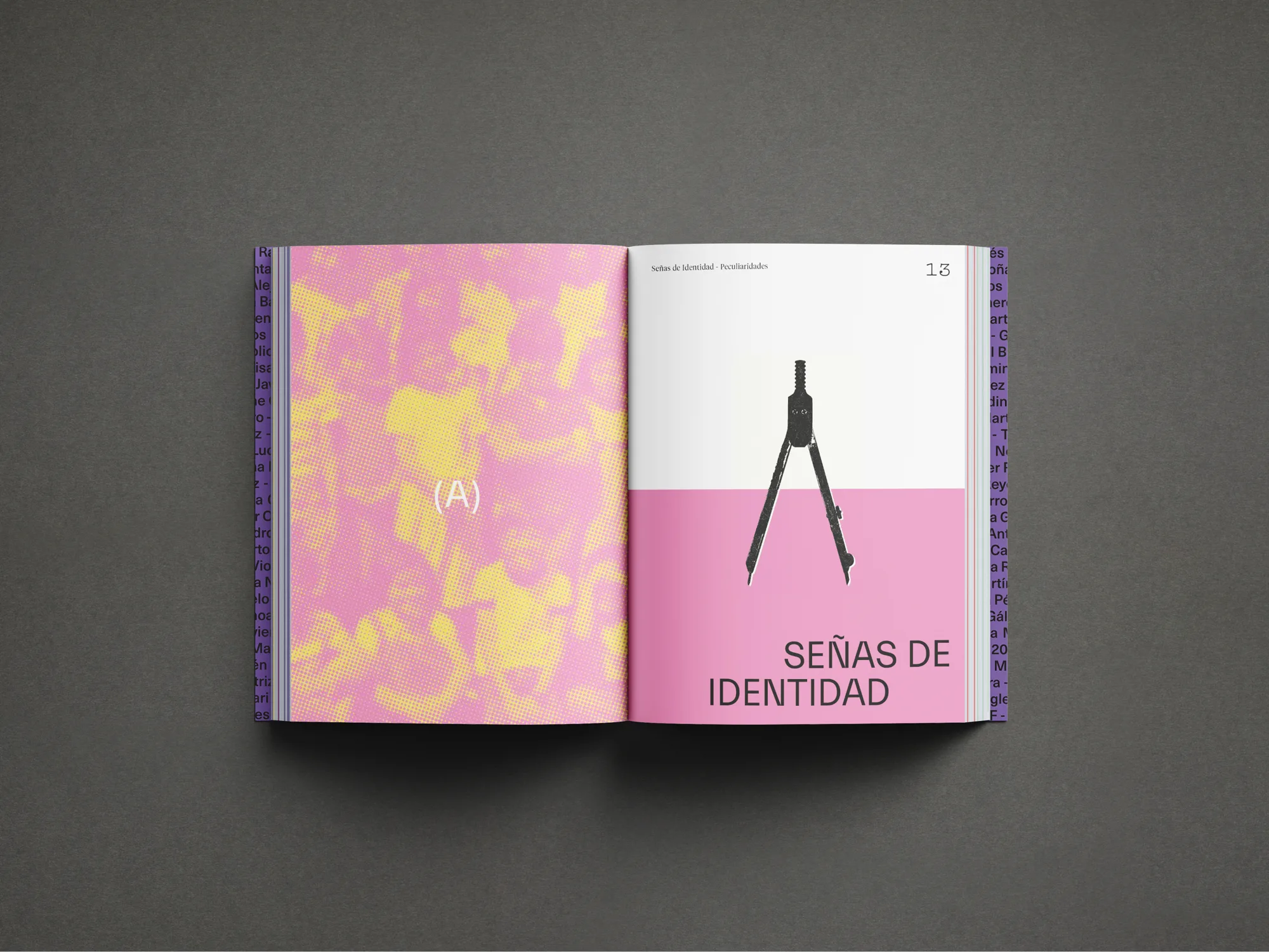 Cincuenta Años — imagen 4 del proyecto