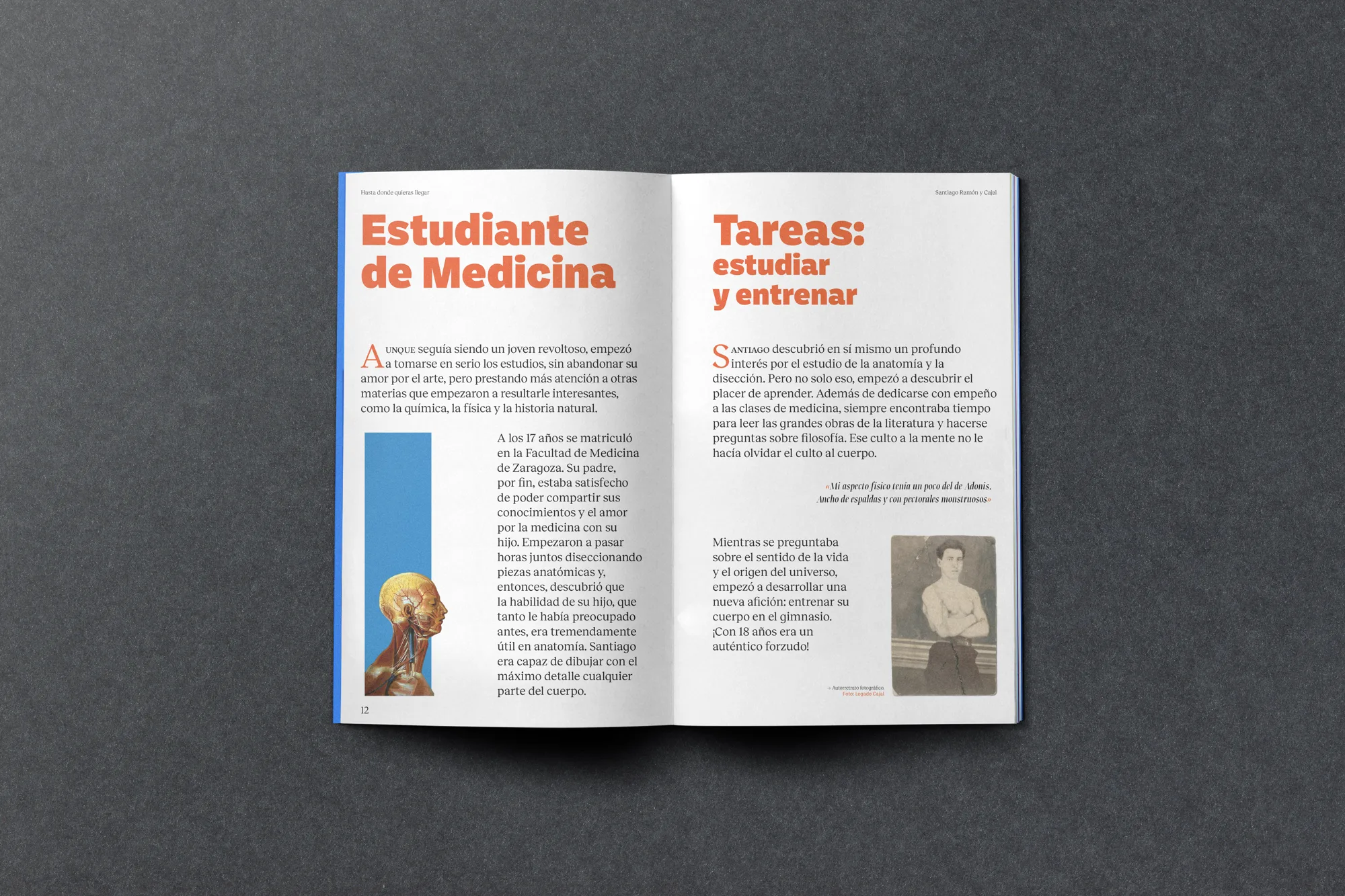 Ramón y Cajal — imagen 3 del proyecto