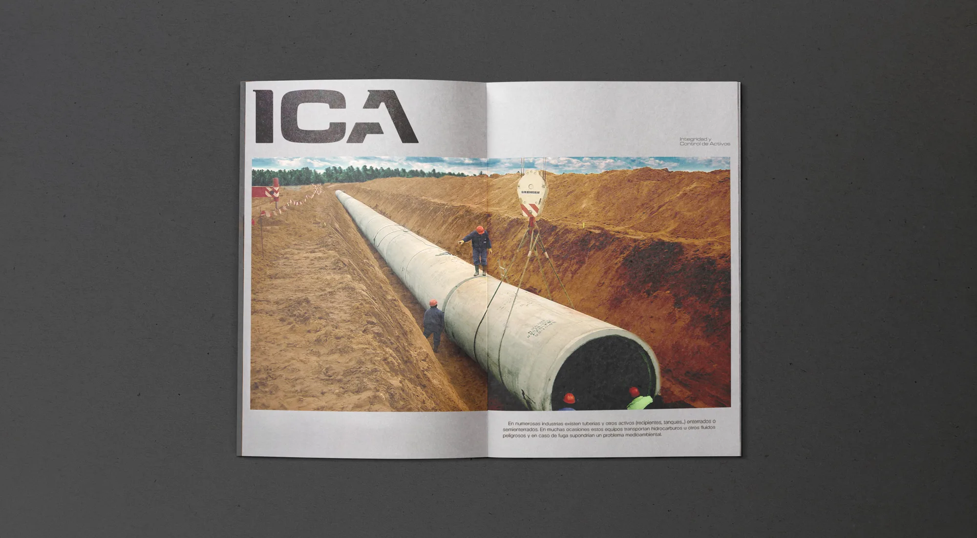 ICA — imagen 3 del proyecto