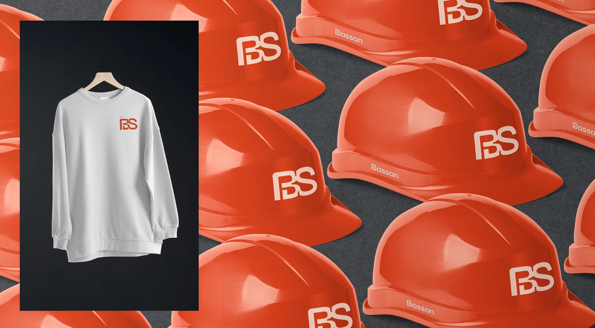 Bassan — imagen 8 del proyecto